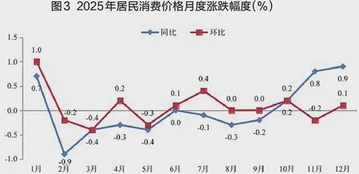数字赋能与智库转型 2025年浙江省国民经济和社会发展统计公报视角下的社会经济咨询服务新图景